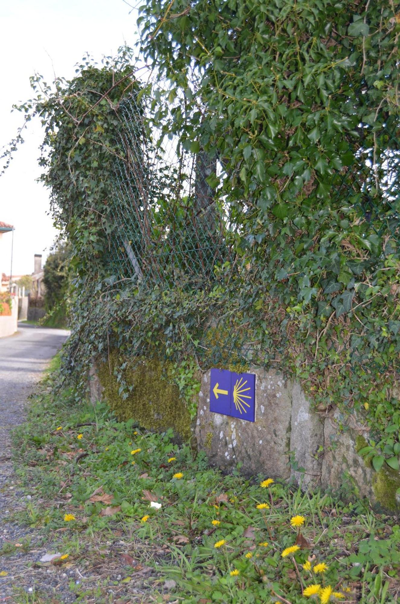 Casa Aurora Villa Teo Kültér fotó